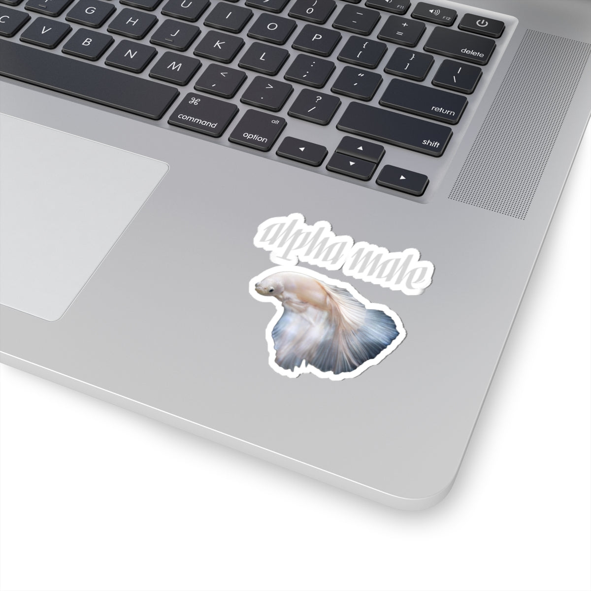 "Alpha Male" Beta Fish | Sticker