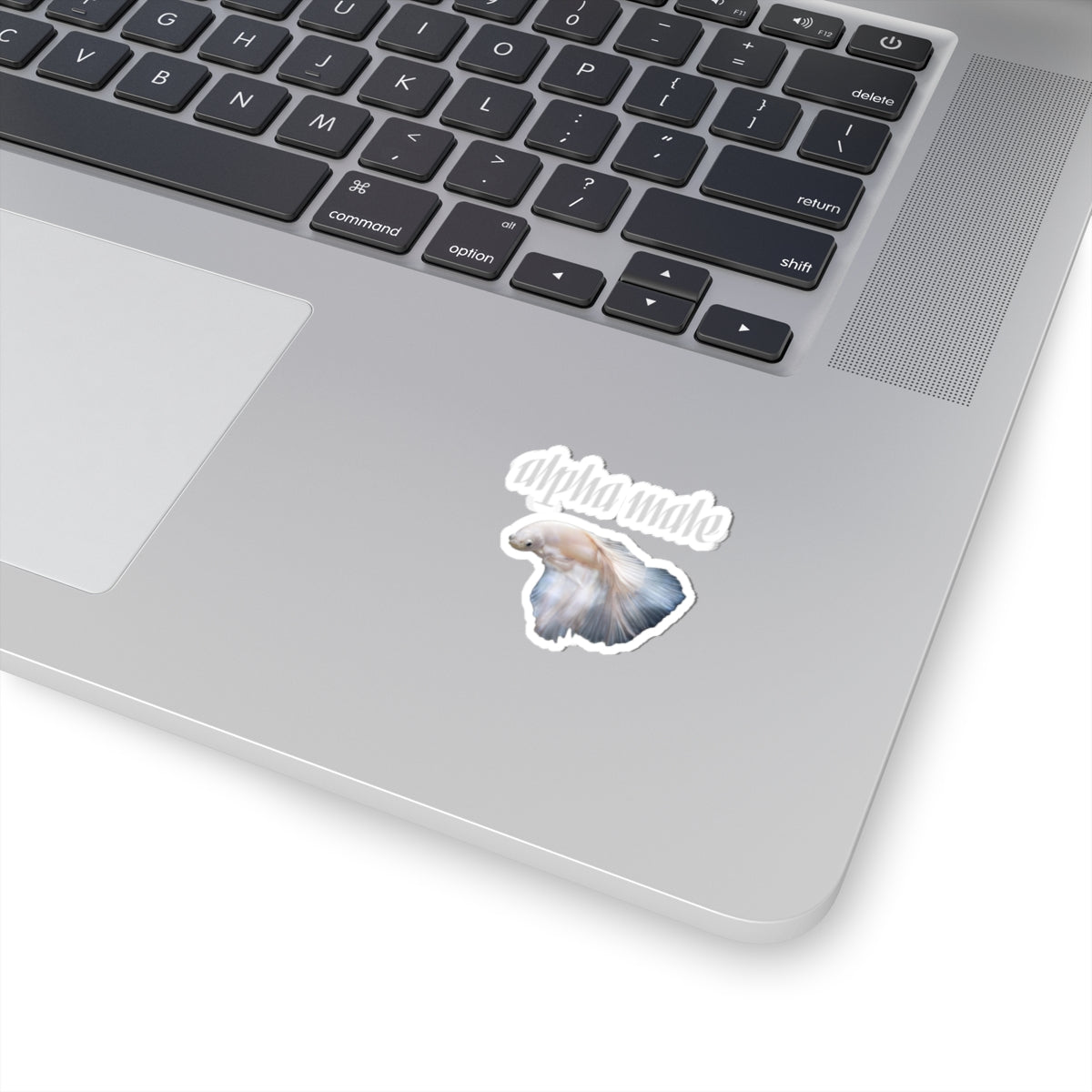 "Alpha Male" Beta Fish | Sticker