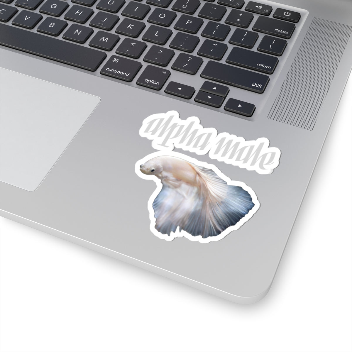 "Alpha Male" Beta Fish | Sticker